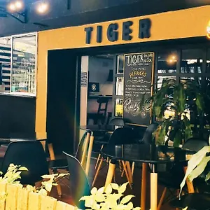 Tiger , Medellin Colombia